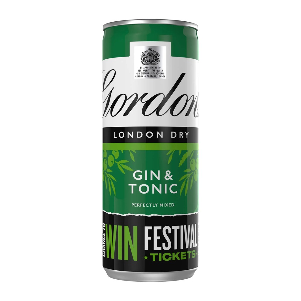 GORDONS DRY GIN & TONIC RTD